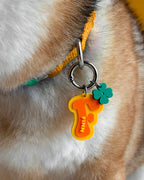 AlphaPet: Initial Pet ID Tag