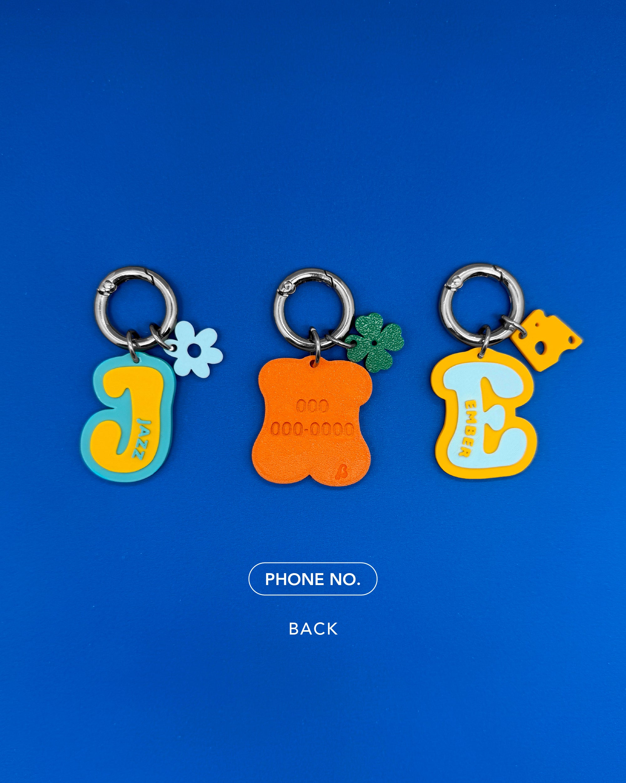 AlphaPet: Initial Pet ID Tag