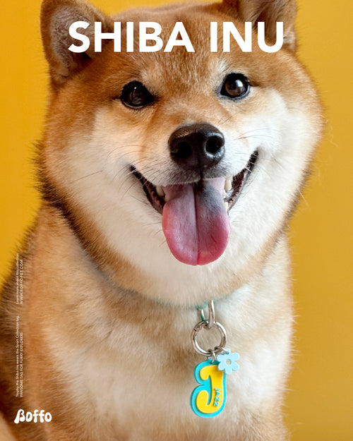 AlphaPet: Initial Pet ID Tag