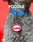 Loppy & Pillow Tag