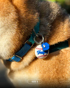 Baseball Hero Custom Tag