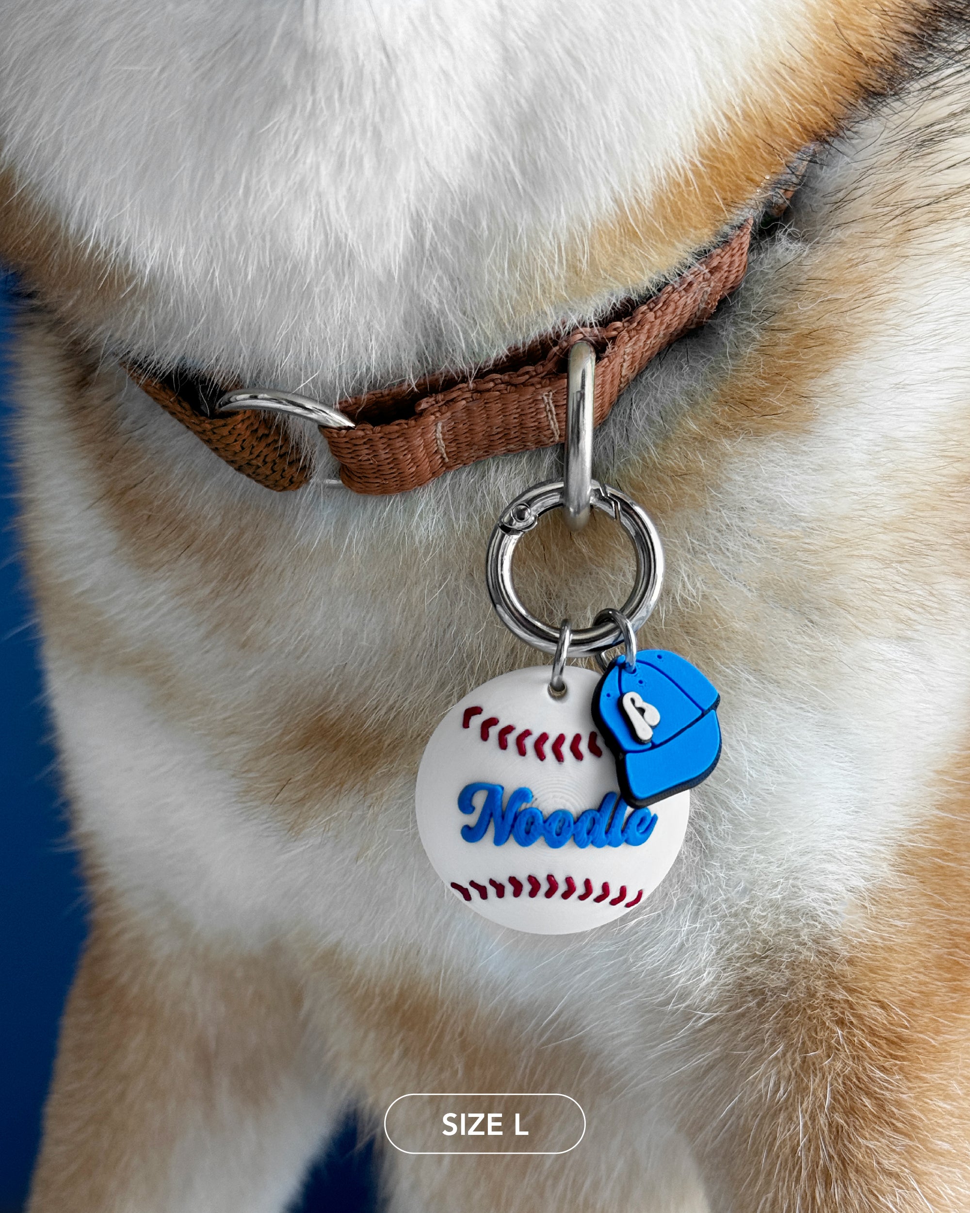 Baseball Hero Custom Tag